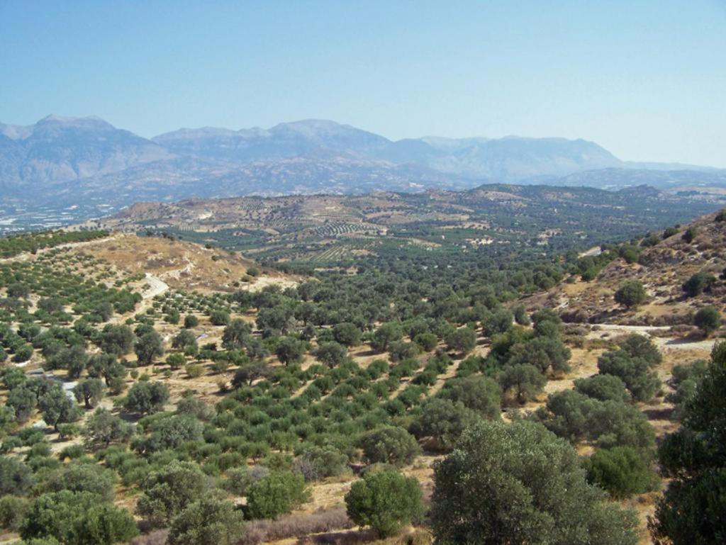 Villas Alexandros Kalamaki  Exteriér fotografie
